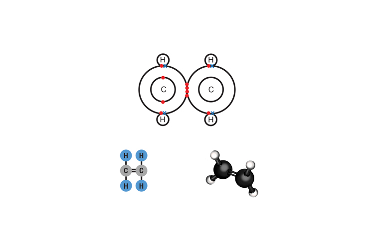 Ethenes molecular structure has 2 carbon atoms and 4 hydrogens (Methene does not exist as there is only one carbon atom but needs a double carbon bond)